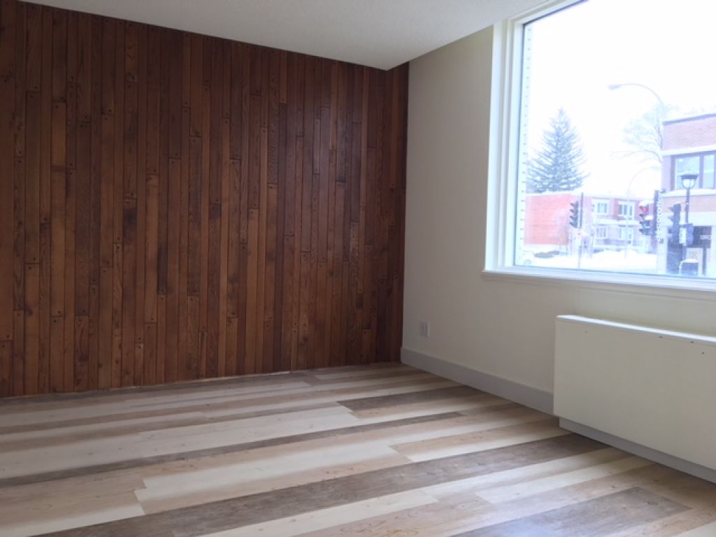 Professional office for rent