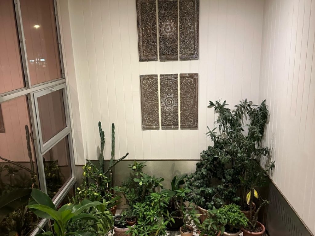 Professional office for rent