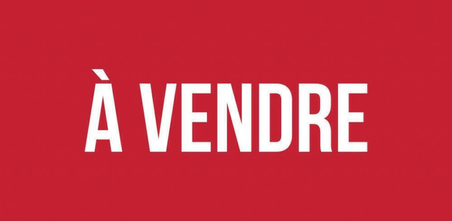 &Agrave; vendre - D&eacute;panneur Formule-1 - &Agrave; vendre