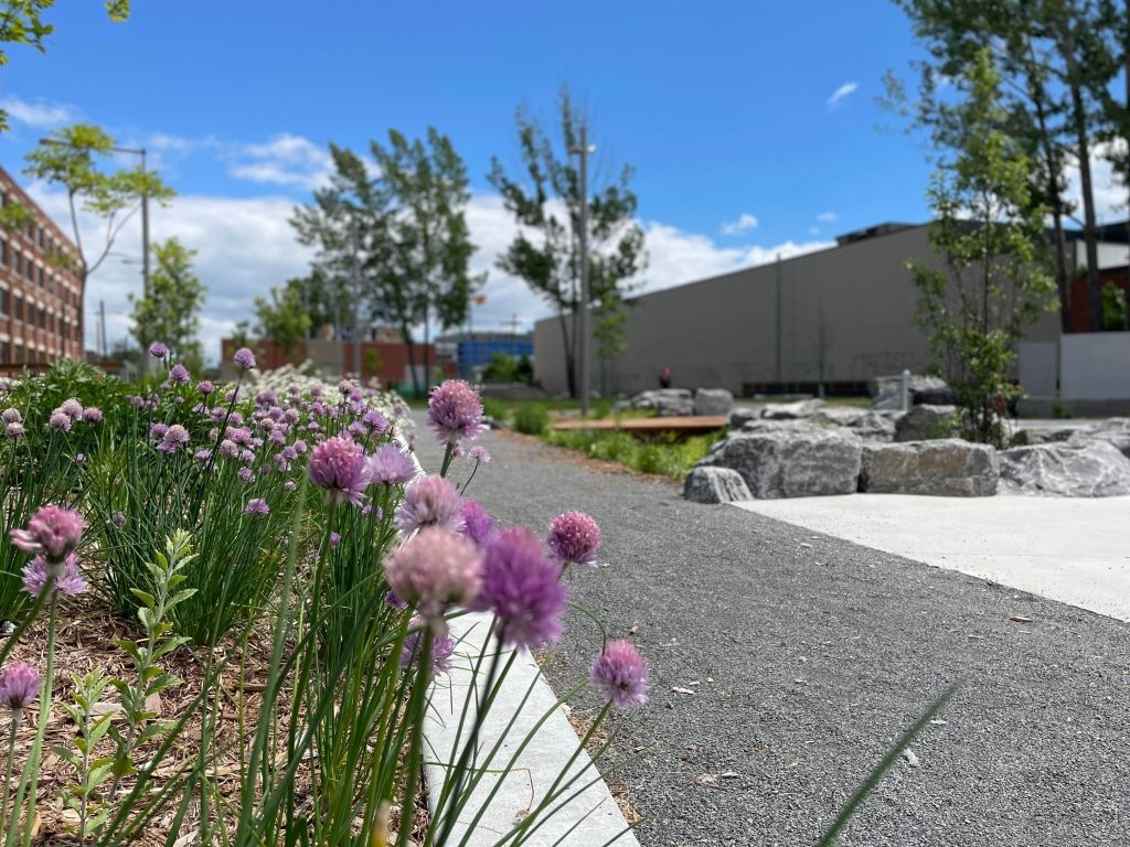 Espaces bureaux de style loft � louer-District Beaumont-6855 de l'�p�e